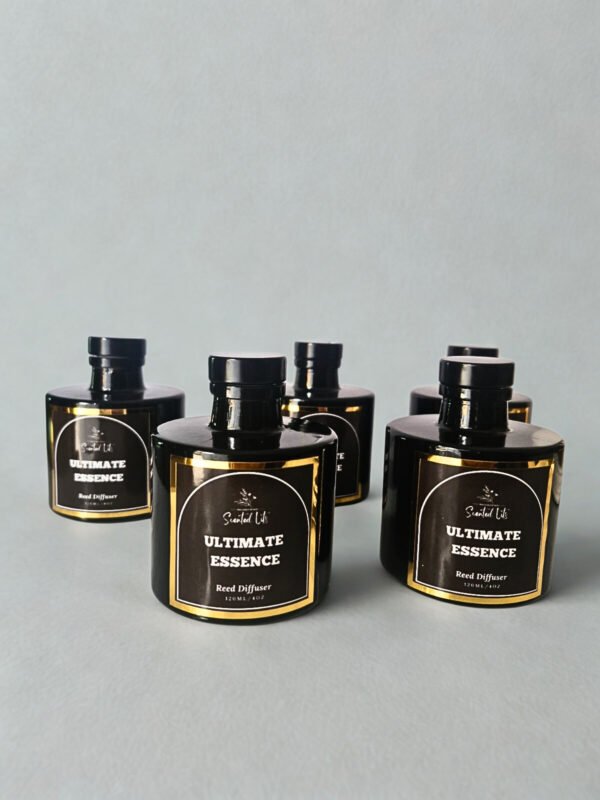 WhatsApp Image 2026-02-17 at 1.57.18 PM - Edited Diffuser